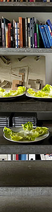 Rezeptur